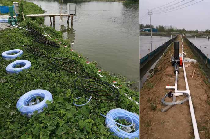 水产养殖罗茨草莓视频APP官方 水产养殖罗茨草莓视频APP官方
