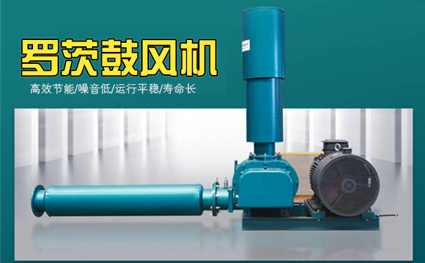 罗茨鼓草莓视频APP官方