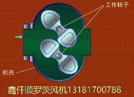 罗茨草莓视频APP官方工作原理