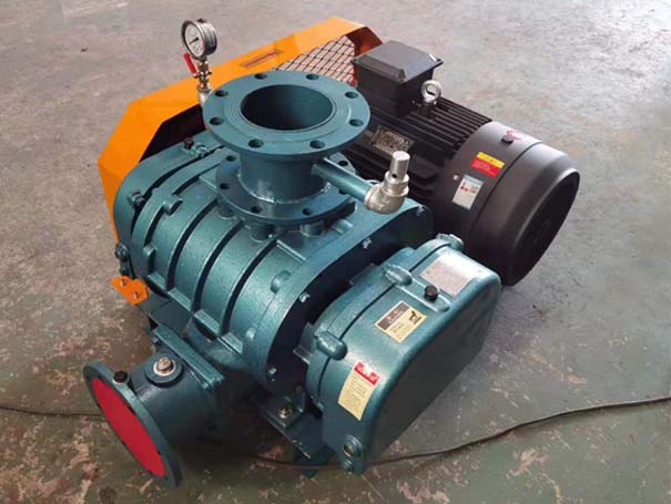 罗茨草莓视频APP官方厂家发货江西罗茨真空泵XQSSR125v5台(图1)