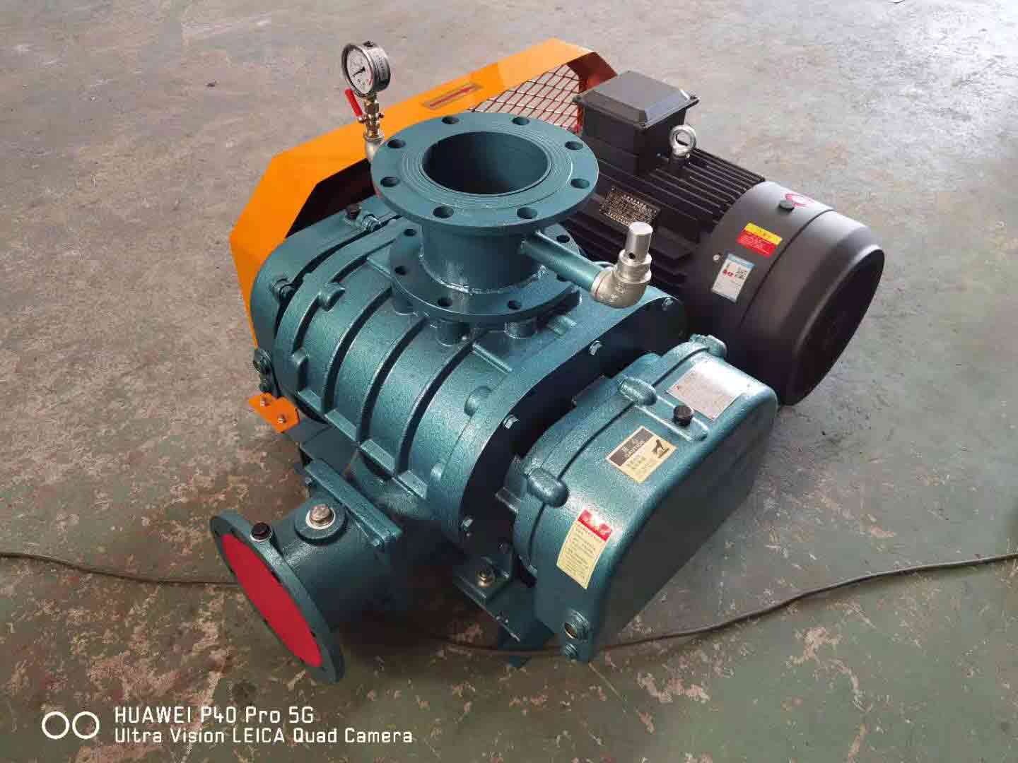 罗茨草莓视频APP官方 发货山西罗茨草莓视频APP官方XQSSR1005.5KW 2台(图1)